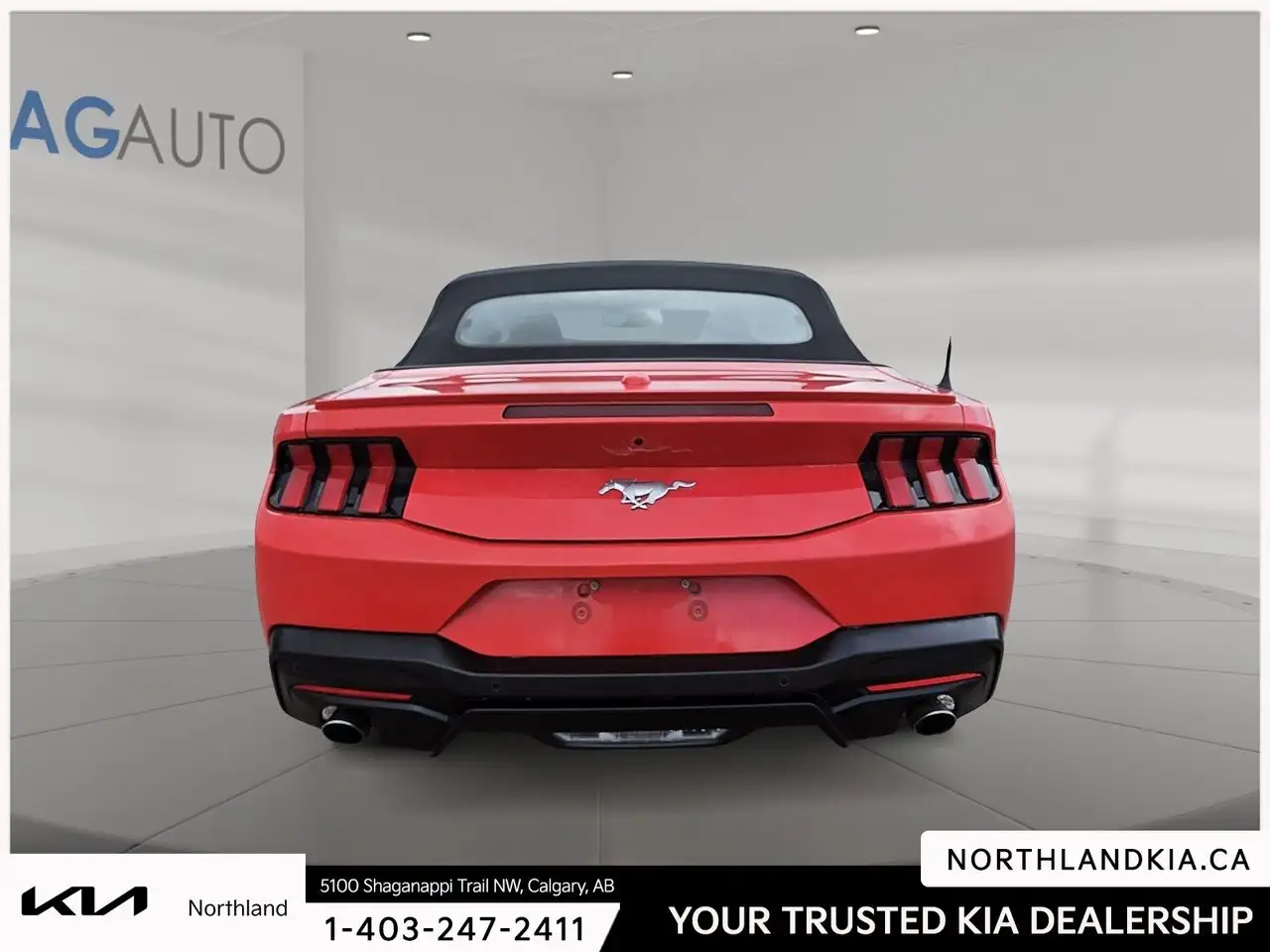 Ford Mustang fotografie Ford Mustang
