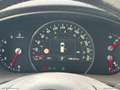 Kia Sorento 2.2 CRDi AWD Rebel Bianco - thumbnail 12