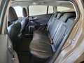 Ford Focus Vignale SW AUTOMATIC 120CV Bronze - thumbnail 15