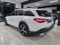 Mercedes-Benz C 220 SW All-Terrain d mhev Premium Pro 4matic auto Weiß - thumbnail 7