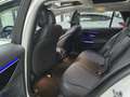 Mercedes-Benz C 220 SW All-Terrain d mhev Premium Pro 4matic auto Weiß - thumbnail 12