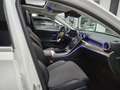 Mercedes-Benz C 220 SW All-Terrain d mhev Premium Pro 4matic auto Weiß - thumbnail 14