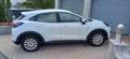Ford Puma Puma 1,0 EcoBoost Cool Weiß - thumbnail 5