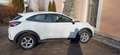 Ford Puma Puma 1,0 EcoBoost Cool Weiß - thumbnail 1