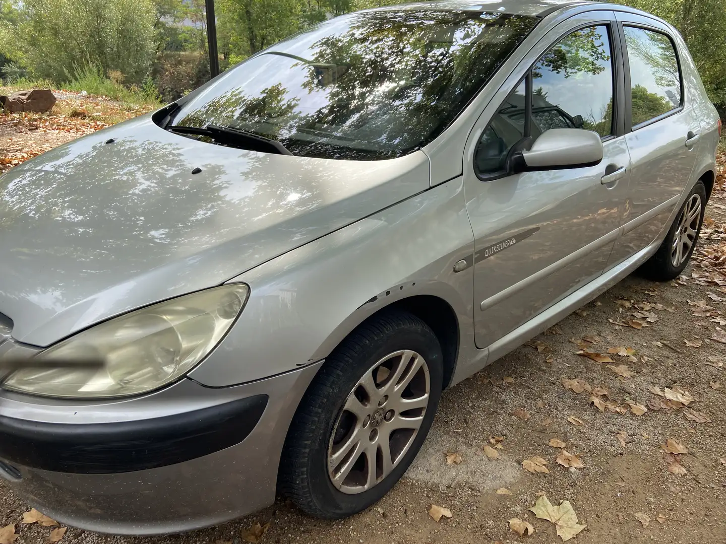 Peugeot 307 1.6 HDi - 110 Quiksilver - 1