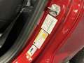 Ford Mustang Fastback 5.0i V8 California Special 435PK Automaat Rot - thumbnail 21