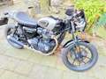 Triumph Street Cup 900 streetcup Noir - thumbnail 37