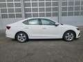 Skoda Octavia Lim. Ambition, 6 Gang, LED Weiß - thumbnail 6