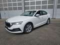 Skoda Octavia Lim. Ambition, 6 Gang, LED Weiß - thumbnail 1