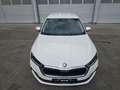 Skoda Octavia Lim. Ambition, 6 Gang, LED Weiß - thumbnail 3