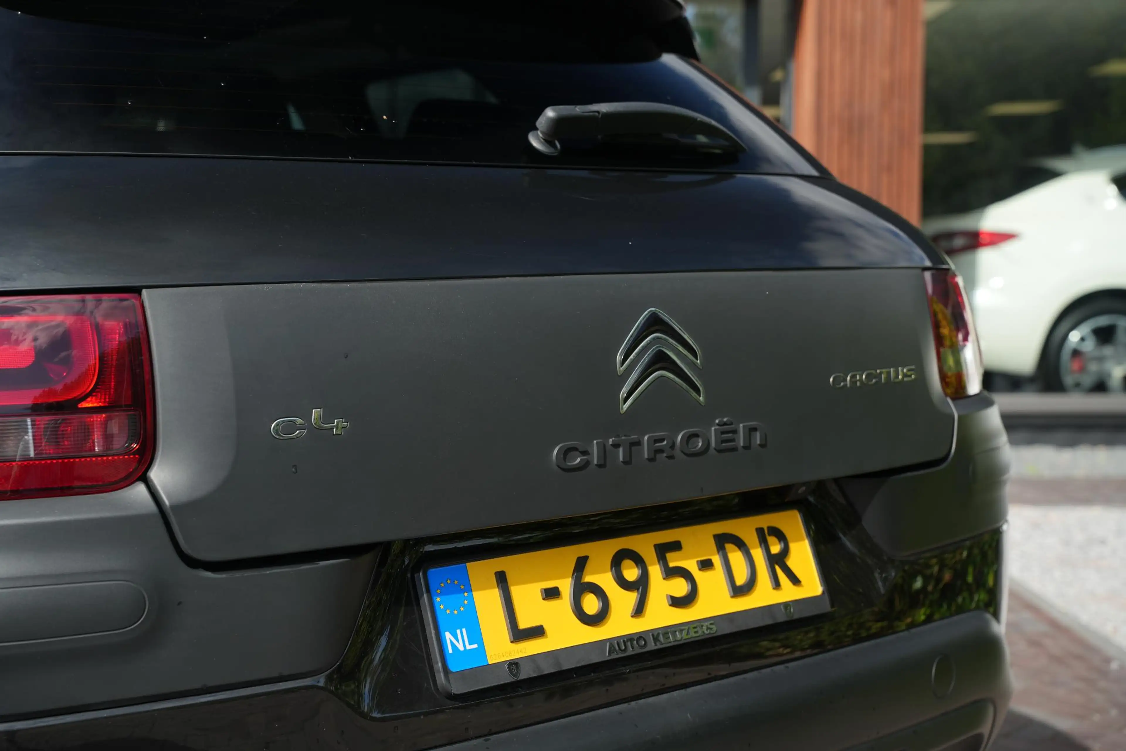 Citroen C4 Cactus 1.2 PureTech Business Plus — photo 19