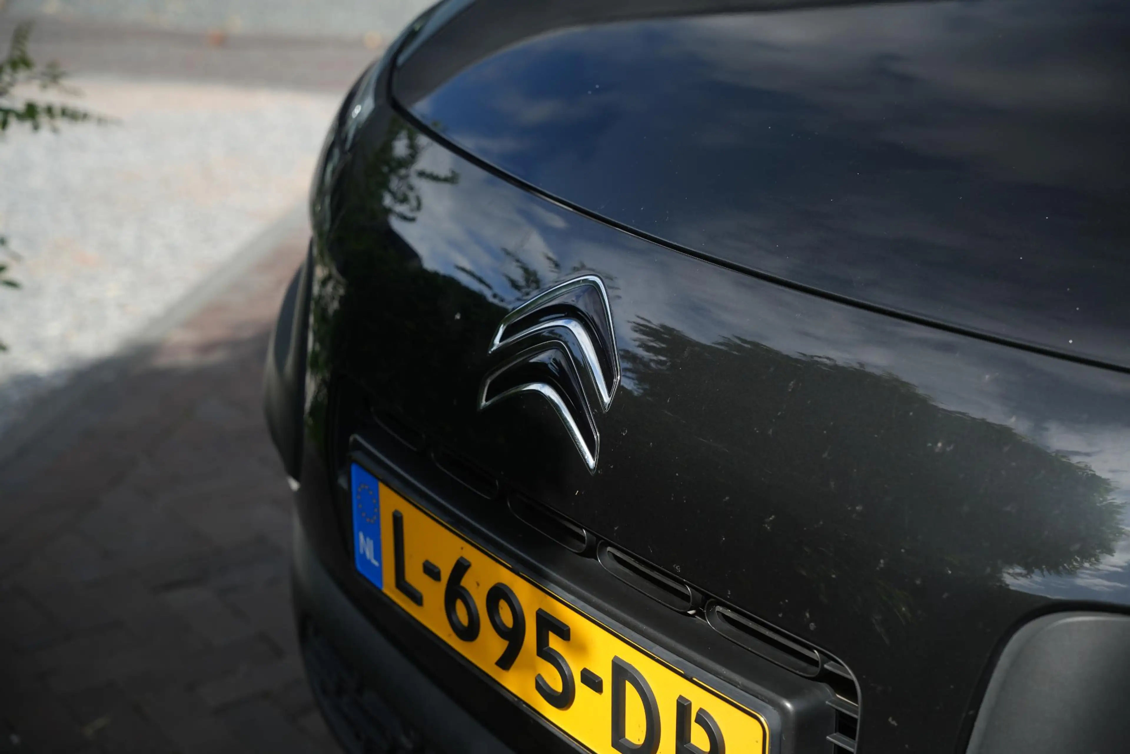 Citroen C4 Cactus 1.2 PureTech Business Plus — photo 15