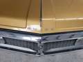 Buick Electra 225 Oro - thumbnail 13