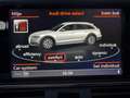 Audi A6 allroad Allroad Quattro V6 3.0 TDI DPF 240 Avus Tiptronic A - thumbnail 7