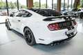 Ford Mustang GT 5,0 SHELBY PERFORMANCE RECARO LED CAR Weiß - thumbnail 4