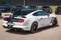 Ford Mustang GT 5,0 SHELBY PERFORMANCE RECARO LED CAR Weiß - thumbnail 11