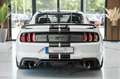 Ford Mustang GT 5,0 SHELBY PERFORMANCE RECARO LED CAR Weiß - thumbnail 7