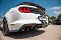 Ford Mustang GT 5,0 SHELBY PERFORMANCE RECARO LED CAR Weiß - thumbnail 12