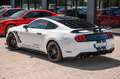 Ford Mustang GT 5,0 SHELBY PERFORMANCE RECARO LED CAR Weiß - thumbnail 13