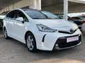 Toyota Prius+ *Pano*Leder*Ky-Go*Funk*KlimaT*R-Kamera*PDC Weiß - thumbnail 2