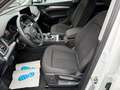 Audi Q5 40 TDI quattro Lane+BlindSpot Assist DriveSel Blanc - thumbnail 10