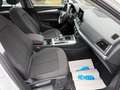 Audi Q5 40 TDI quattro Lane+BlindSpot Assist DriveSel Blanc - thumbnail 13