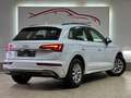 Audi Q5 40 TDI quattro Lane+BlindSpot Assist DriveSel Blanc - thumbnail 6
