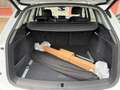 Audi Q5 40 TDI quattro Lane+BlindSpot Assist DriveSel Blanc - thumbnail 16