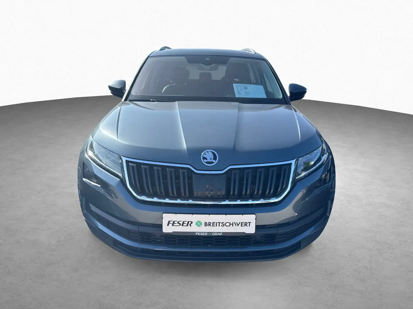 Skoda Kodiaq Style 4x4 2.0 TDI DSG AHK LED NAVI SHZ Grau - 2