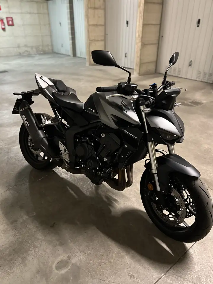 Honda Hornet