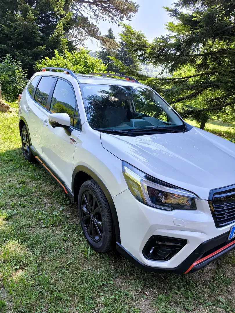 Subaru Forester 2.0i e-boxer 4dventure lineartronic Bianco - 2