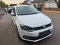 Volkswagen Polo V Highline BMT/Start-Stopp Weiß - thumbnail 2
