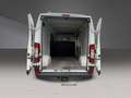 Fiat Ducato *Hoch-Lang * 3.0 I**GAS*BENZIN*1-HAND Weiß - thumbnail 12