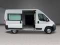 Fiat Ducato *Hoch-Lang * 3.0 I**GAS*BENZIN*1-HAND Weiß - thumbnail 14