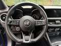 Alfa Romeo Stelvio Super Business Q4 TELECAMERA POST. IVA ESPOSTA Blu/Azzurro - thumbnail 12