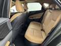 Lexus NX 450h+ AWD Executive Line | Gespoten exterieurdetails | S Vert - thumbnail 30