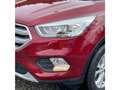 Ford Kuga Titanium Красный - thumbnail 3