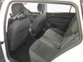 Volkswagen Golf Variant Golf VIII Variant 2.0TDI DSG Style Matrix Standh Weiß - thumbnail 6