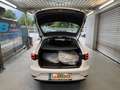 SEAT Leon ST Style 1,6 TDI DSG Start-Stopp Weiß - thumbnail 12