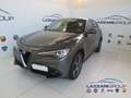 Alfa Romeo Stelvio 2.2 Turbodiesel 210 CV AT8 Q4 Executive Grigio - thumbnail 1