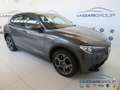 Alfa Romeo Stelvio 2.2 Turbodiesel 210 CV AT8 Q4 Executive Grigio - thumbnail 5