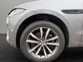 Jaguar F-Pace F-PACE D300 R-Dynamic SE Pano AHK Head Up Gris - thumbnail 9