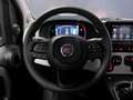Fiat Panda 1.0 Hybrid 70CV Cross / IN PRONTA CONSEGNA Wit - thumbnail 9