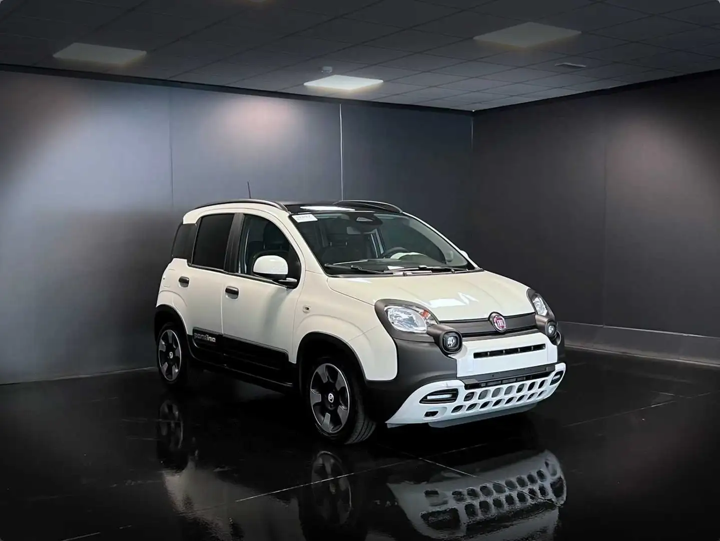Fiat Panda 1.0 Hybrid 70CV Cross / IN PRONTA CONSEGNA Wit - 2