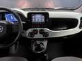 Fiat Panda 1.0 Hybrid 70CV Cross / IN PRONTA CONSEGNA Wit - thumbnail 10