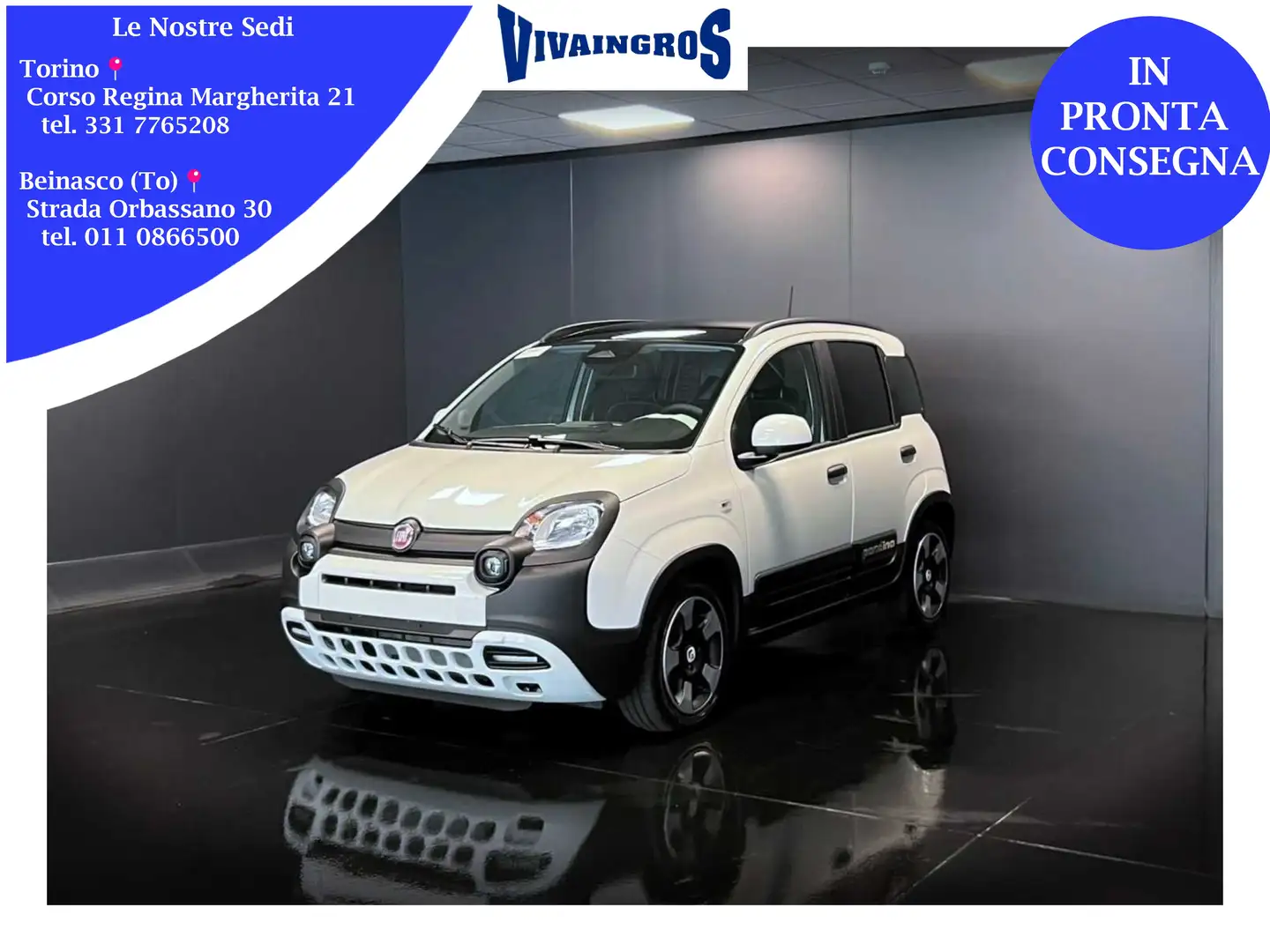 Fiat Panda 1.0 Hybrid 70CV Cross / IN PRONTA CONSEGNA Wit - 1