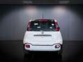 Fiat Panda 1.0 Hybrid 70CV Cross / IN PRONTA CONSEGNA Wit - thumbnail 4
