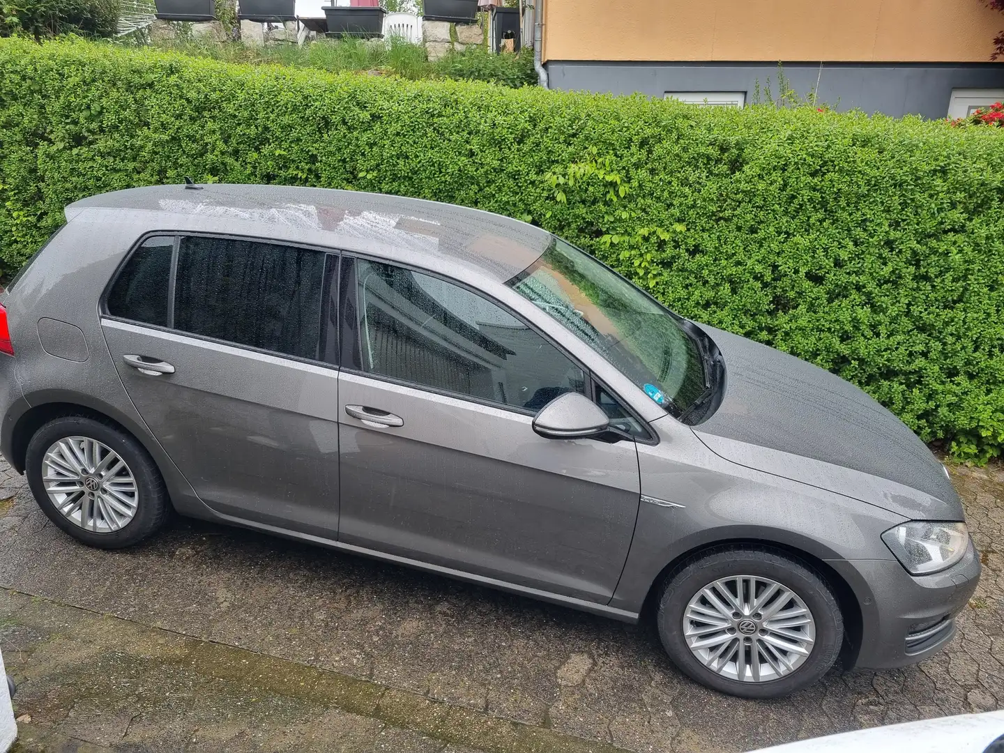 Volkswagen Golf Cup BMT Gris - 1