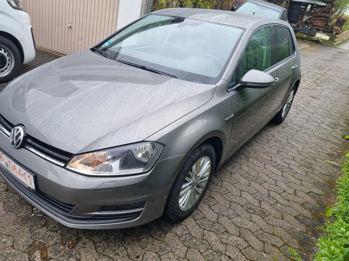 Volkswagen Golf Cup BMT Gris - 2