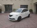 Lancia Ypsilon 1.2 69 CV 5 posti Elefantino Blu Bianco - thumbnail 1